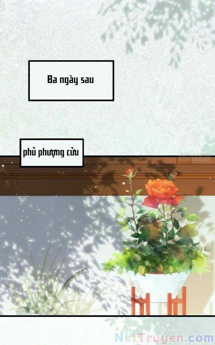 Tuyệt Sắc Quyến Rũ: Quỷ Y Chí Tôn - Chap 271