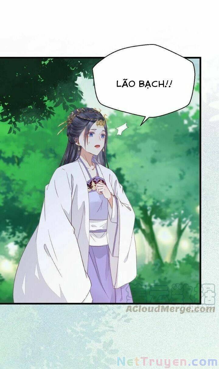 Tuyệt Sắc Quyến Rũ: Quỷ Y Chí Tôn - Chap 280