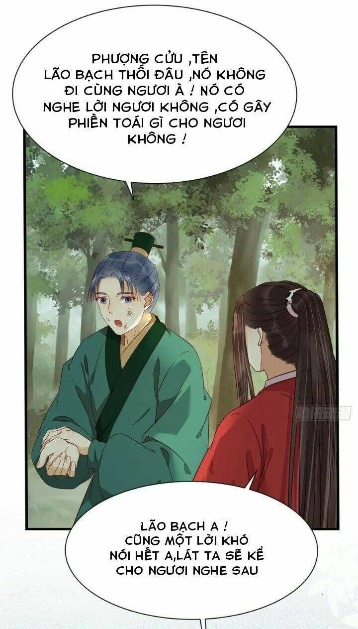 Tuyệt Sắc Quyến Rũ: Quỷ Y Chí Tôn - Chap 284