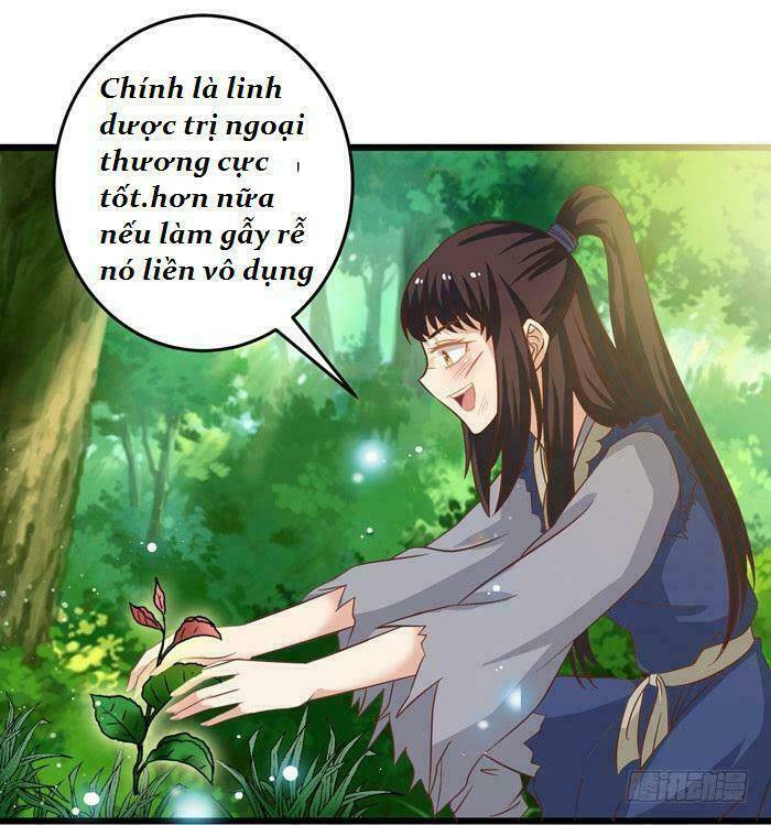 Tuyệt Sắc Quyến Rũ: Quỷ Y Chí Tôn - Chap 3