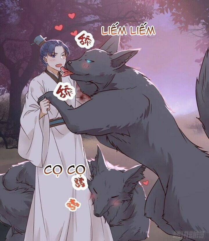 Tuyệt Sắc Quyến Rũ: Quỷ Y Chí Tôn - Chap 312