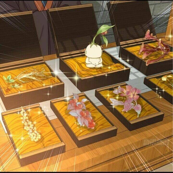 Tuyệt Sắc Quyến Rũ: Quỷ Y Chí Tôn - Chap 325