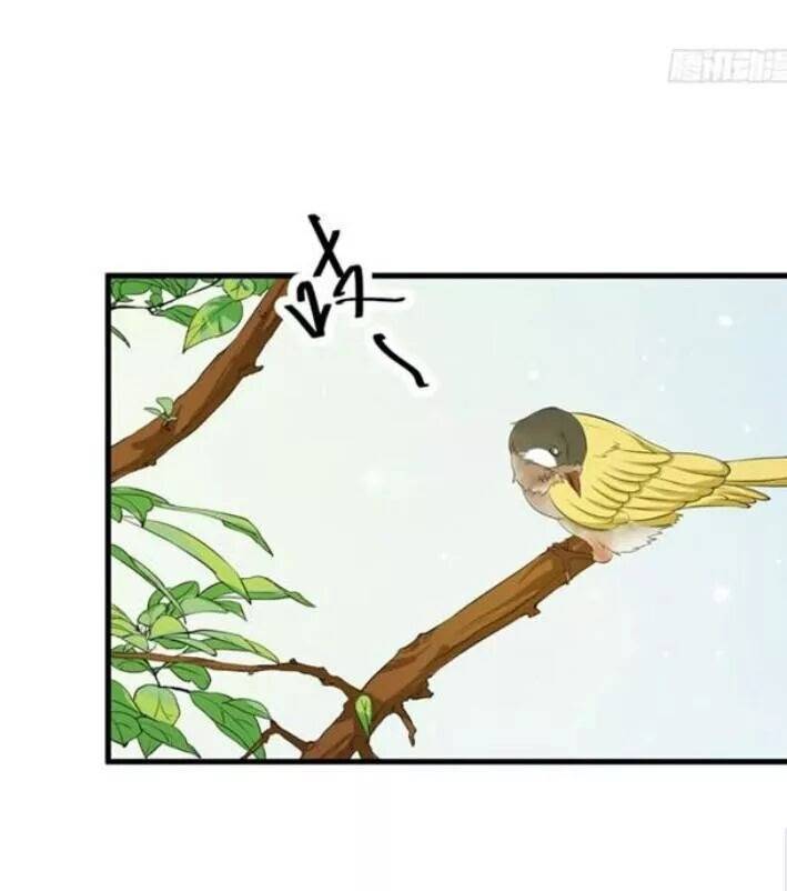 Tuyệt Sắc Quyến Rũ: Quỷ Y Chí Tôn - Chap 67