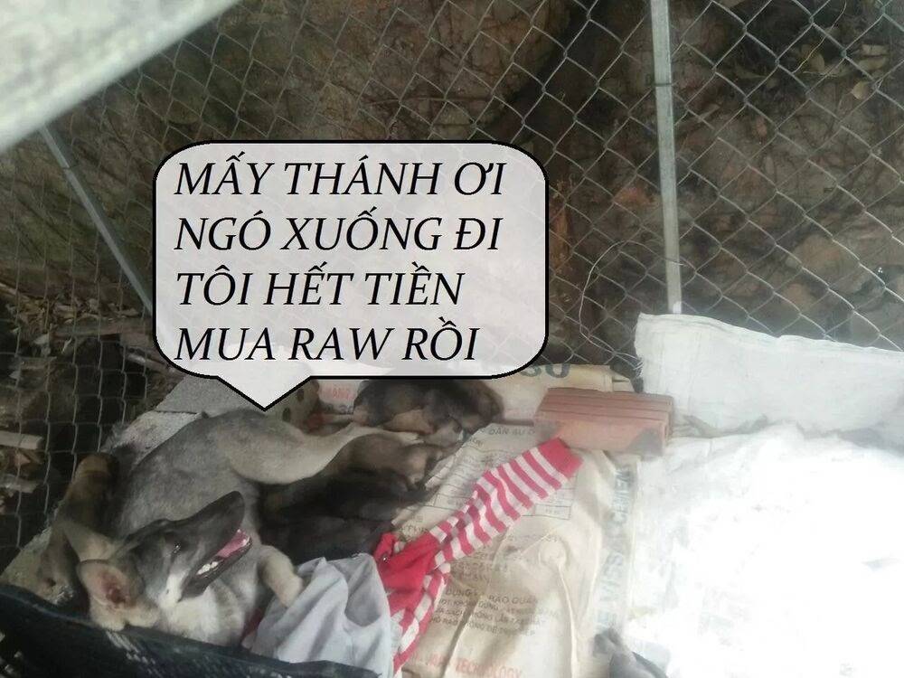 Tuyệt Sắc Quyến Rũ: Quỷ Y Chí Tôn - Chap 82