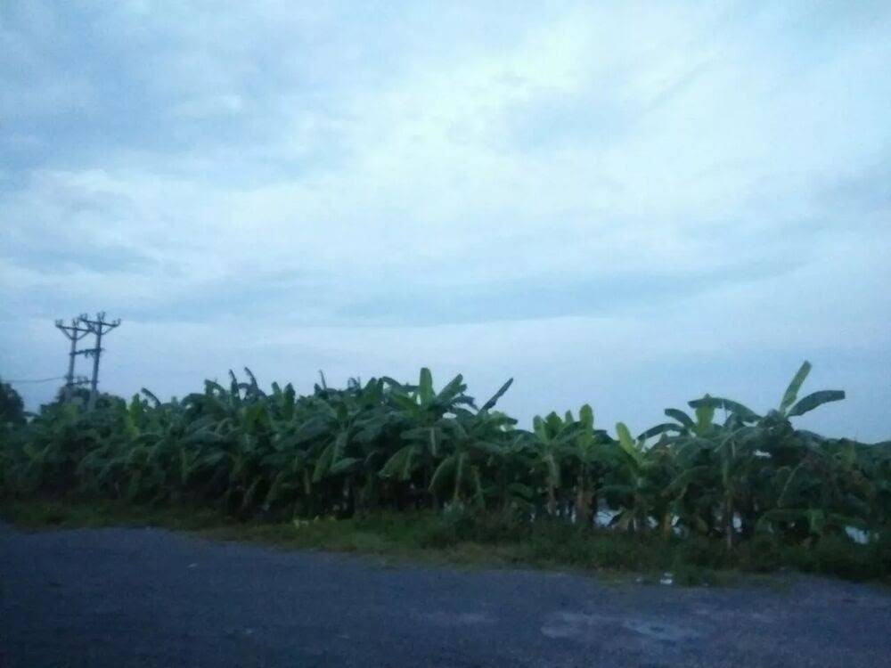 Tuyệt Sắc Quyến Rũ: Quỷ Y Chí Tôn - Chap 91