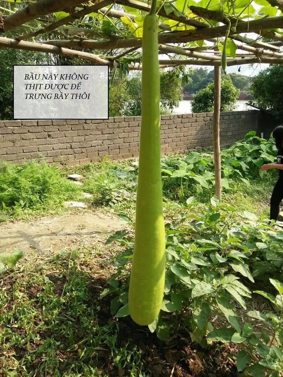 Tuyệt Sắc Quyến Rũ: Quỷ Y Chí Tôn - Chap 91