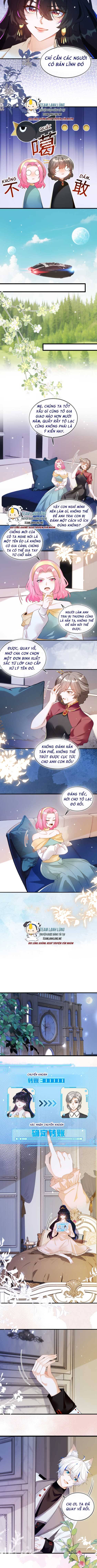 Vừa Mới Huỷ Hôn Đã Bị Dã Hồ Ly Lừa Kết Hôn - Chap 10