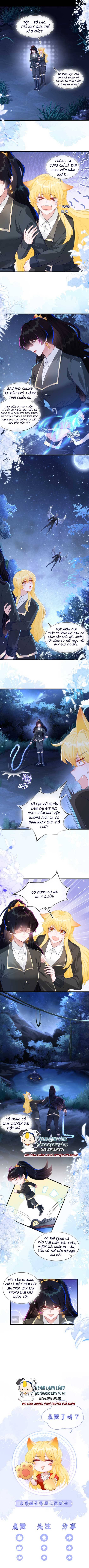 Vừa Mới Huỷ Hôn Đã Bị Dã Hồ Ly Lừa Kết Hôn - Chap 14