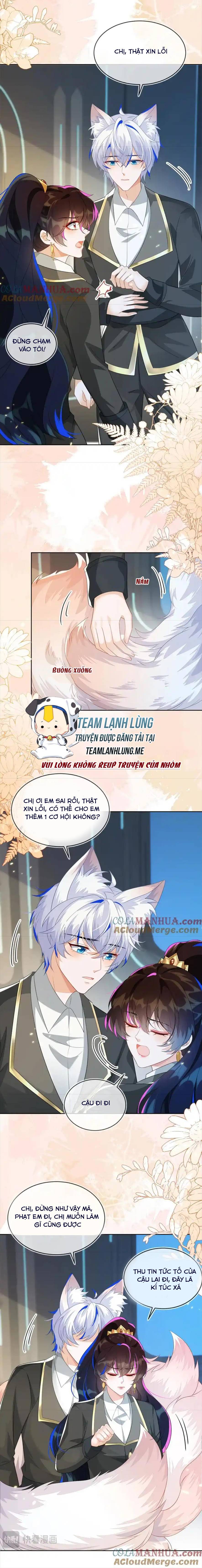 Vừa Mới Huỷ Hôn Đã Bị Dã Hồ Ly Lừa Kết Hôn - Chap 25