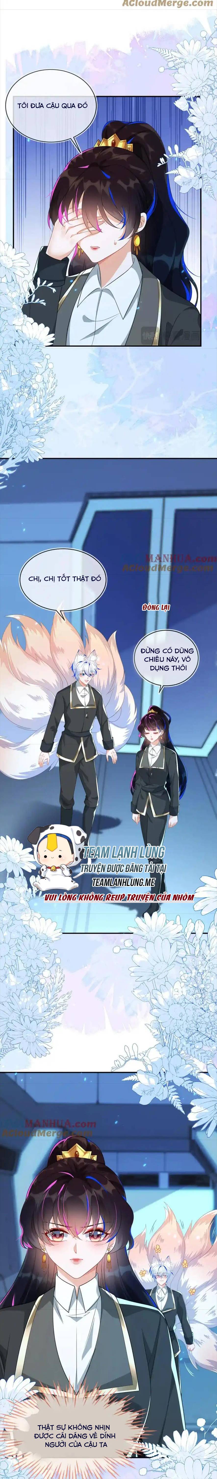 Vừa Mới Huỷ Hôn Đã Bị Dã Hồ Ly Lừa Kết Hôn - Chap 25