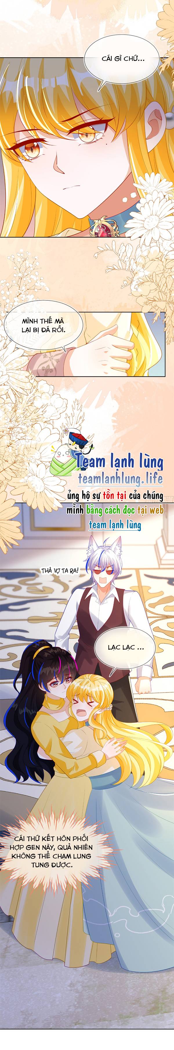 Vừa Mới Huỷ Hôn Đã Bị Dã Hồ Ly Lừa Kết Hôn - Chap 55