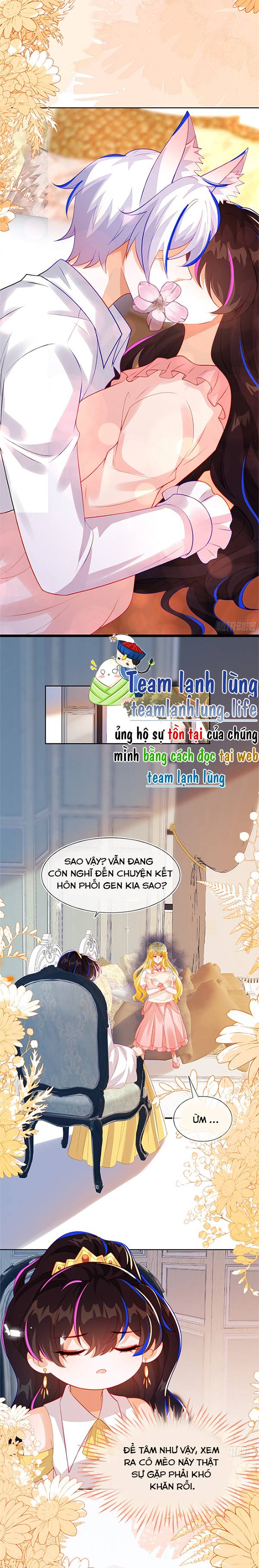 Vừa Mới Huỷ Hôn Đã Bị Dã Hồ Ly Lừa Kết Hôn - Chap 55