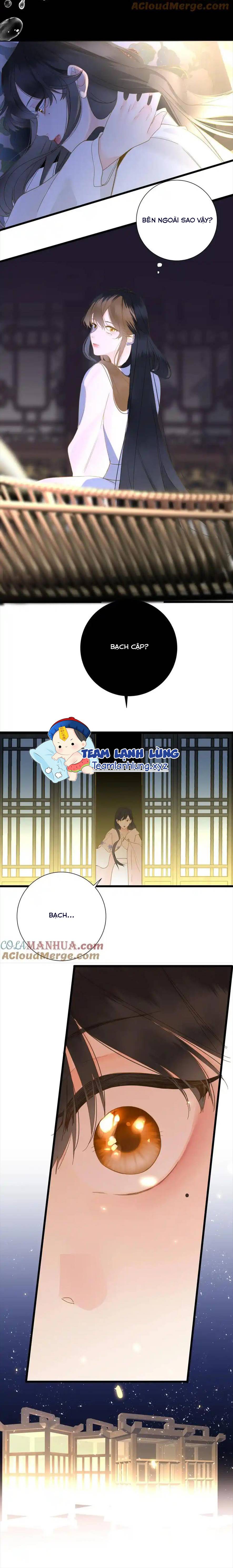 Vương Gia Hắn Luôn Nghĩ Tôi Yêu Hắn Đến Nghiện - Chap 62