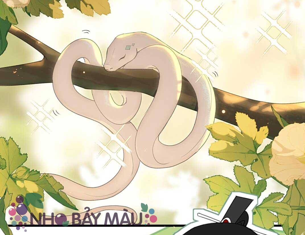 Xà Vương Định Trốn Chạy - Chap 2