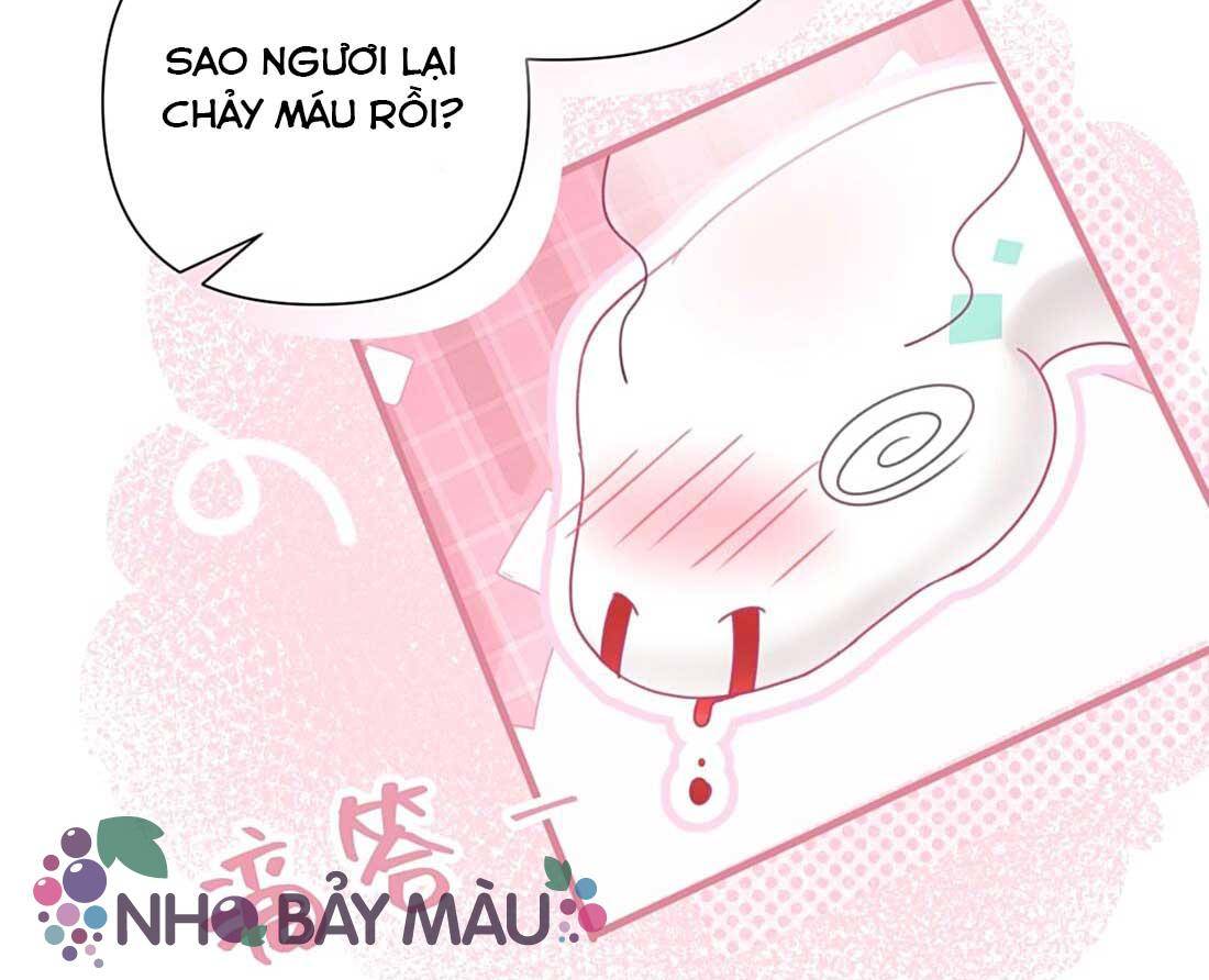 Xà Vương Định Trốn Chạy - Chap 2