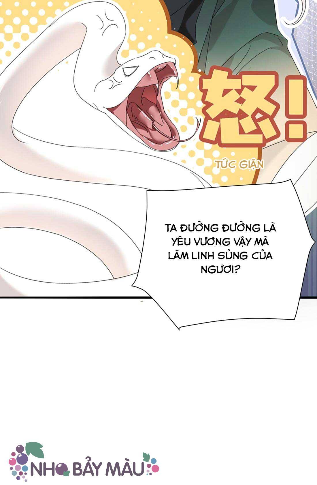 Xà Vương Định Trốn Chạy - Chap 2