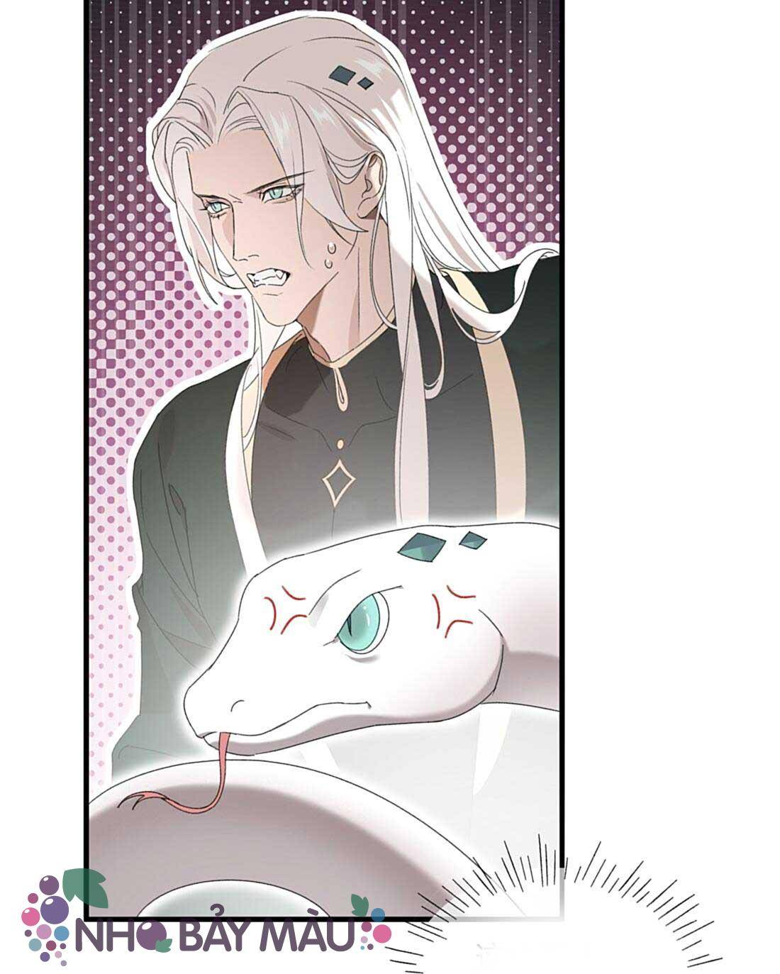 Xà Vương Định Trốn Chạy - Chap 2