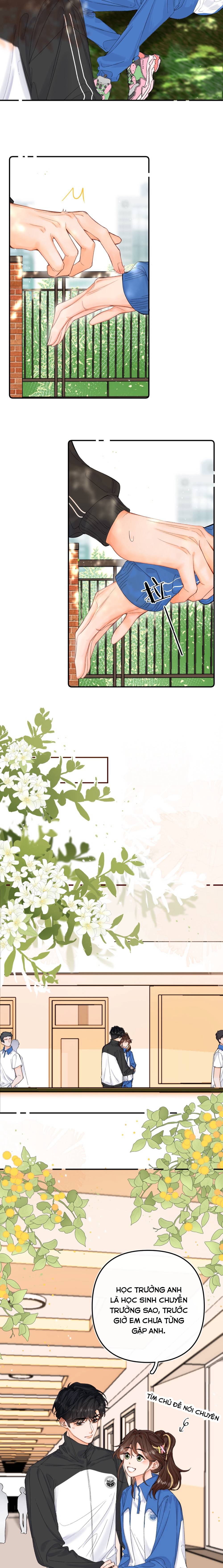 Xin Được Chỉ Giáo - Chap 8