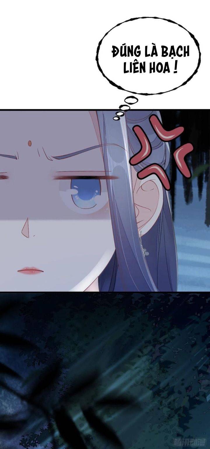 Xuyên Không Chi Viện : Ác Nữ Phản Diện Muốn Tẩy Trắng - Chap 20