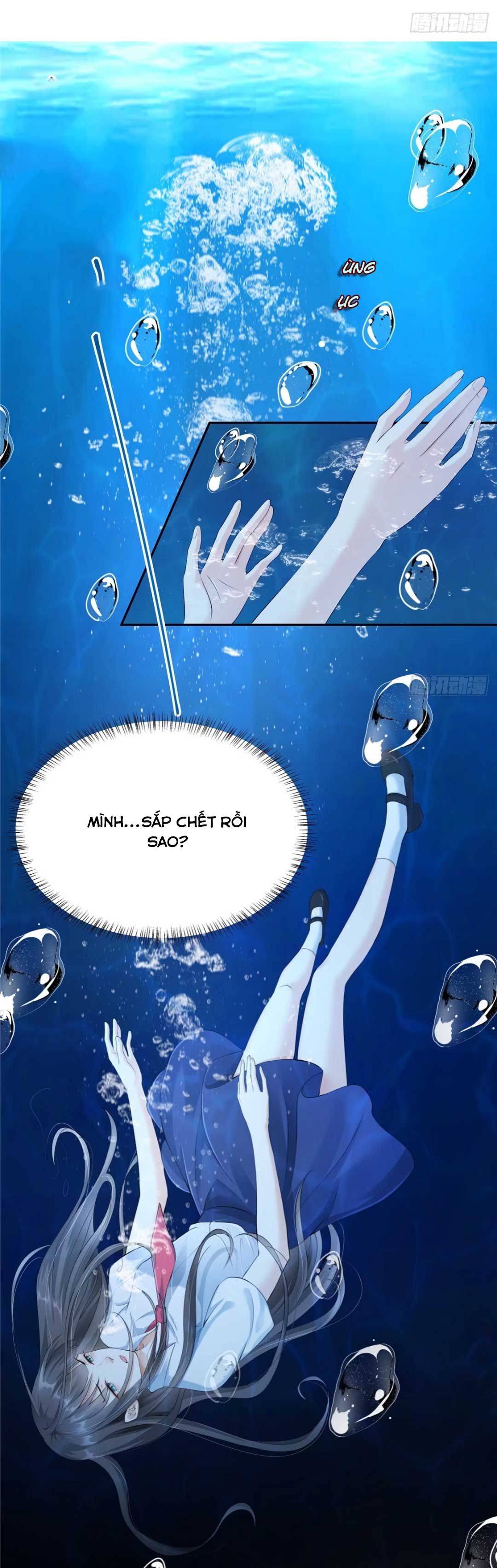 Xuyên Qua Làm Vương Phi Xinh Đẹp Của Vương Gia - Chap – 2