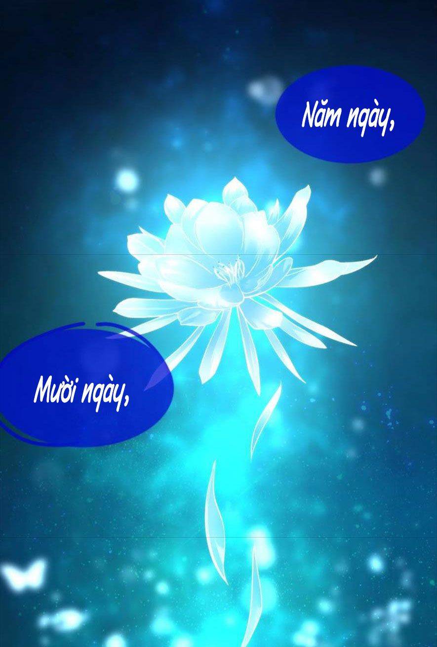 Xuyên Về Cổ Đại Làm Nữ Phụ Vô Dụng - Chap 32