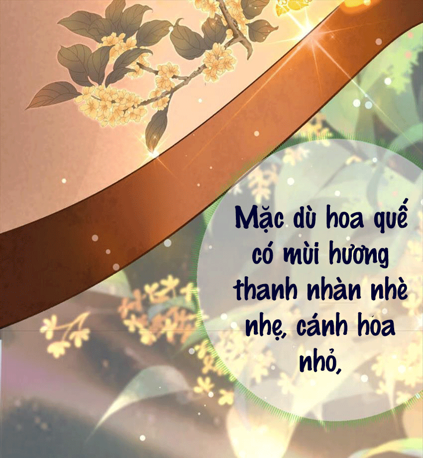 Xuyên Về Cổ Đại Làm Nữ Phụ Vô Dụng - Chap 43